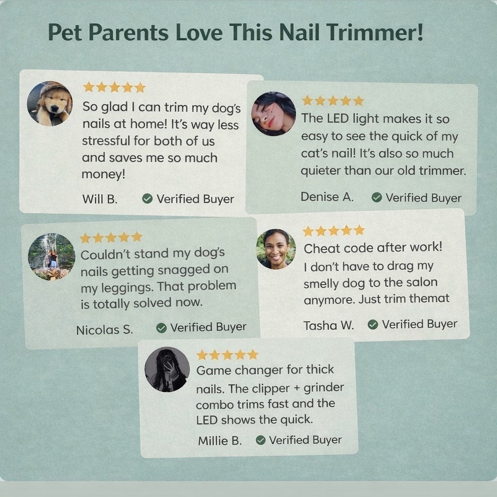 Illumi LED Nail Trimmer & Grinder