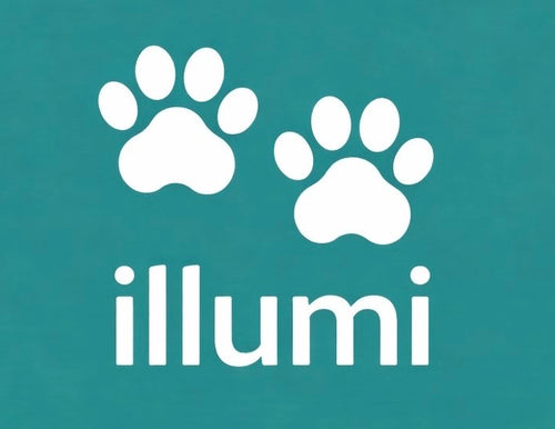 Illumify Store