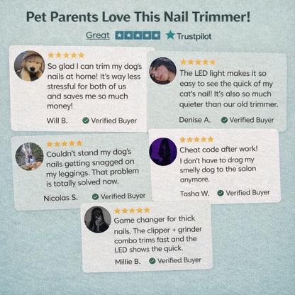 Illumi LED Nail Trimmer & Grinder