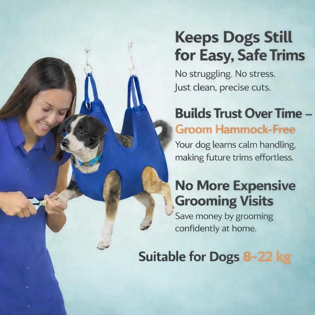 Illumi LED Nail Trimmer & Grinder