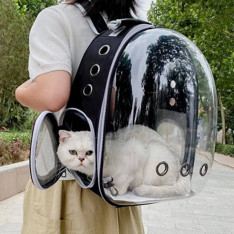 CatPack