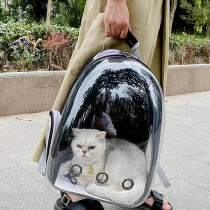 CatPack