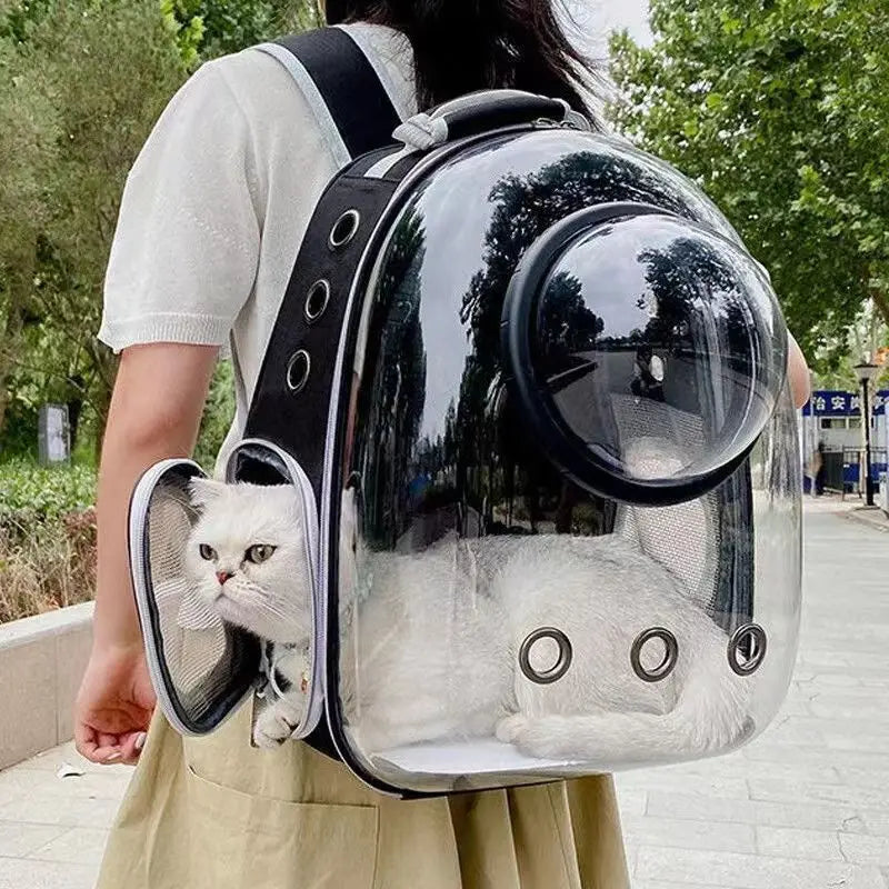 CatPack
