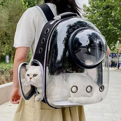 CatPack