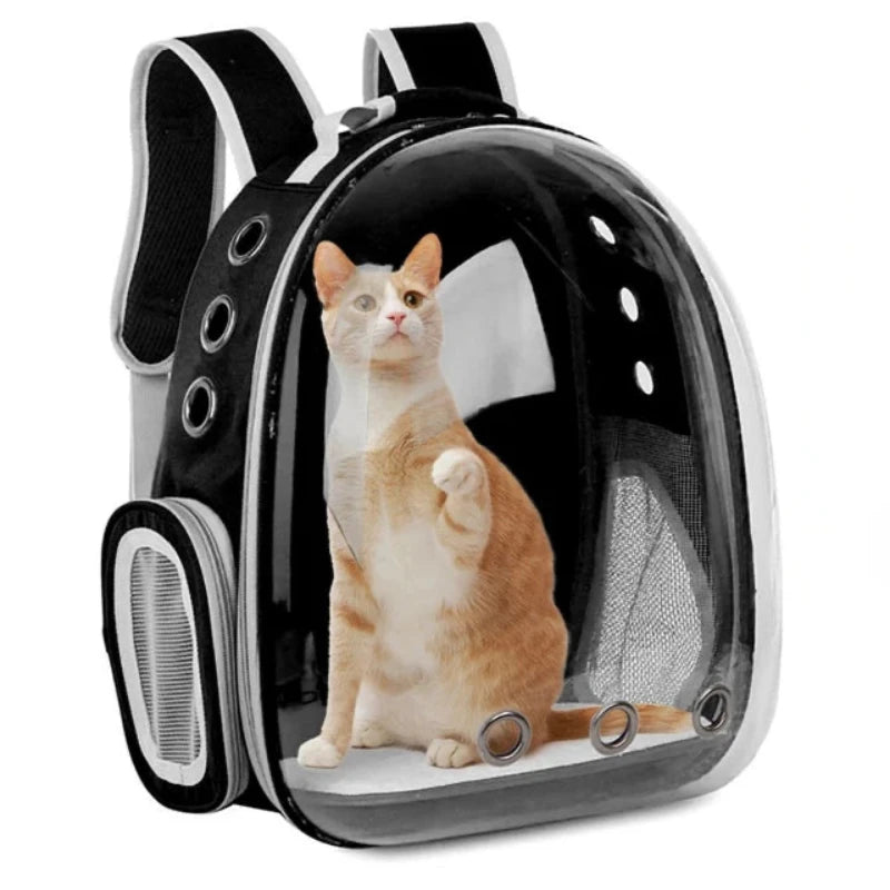 CatPack