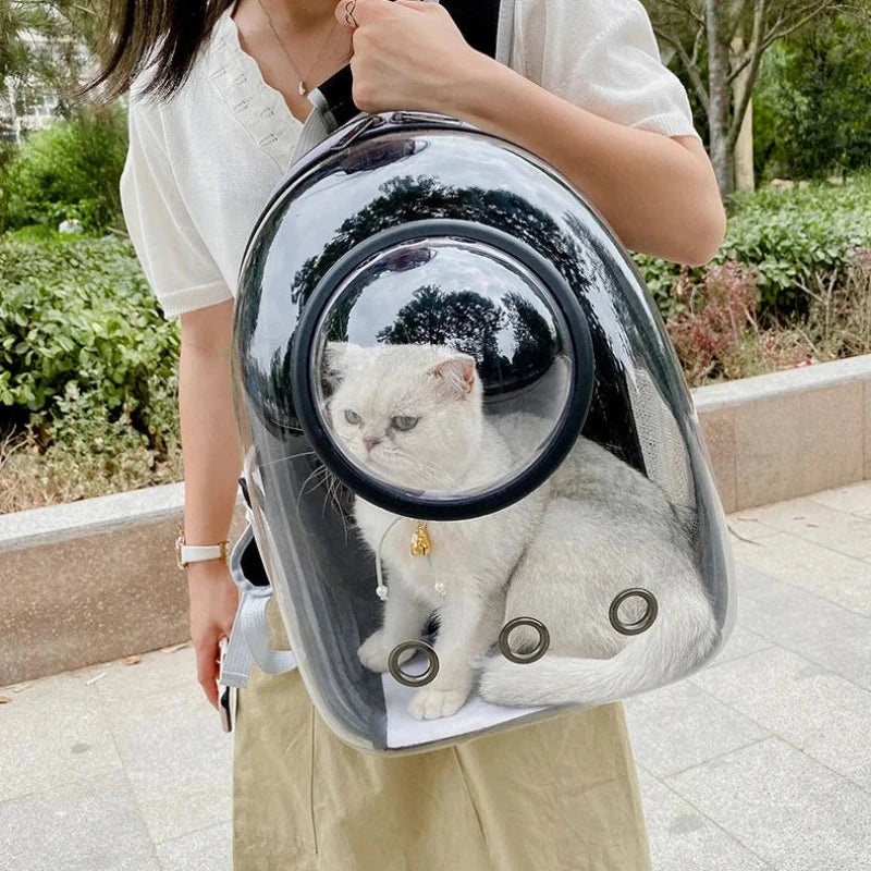 CatPack