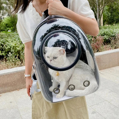 CatPack