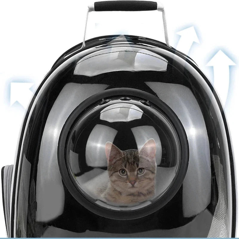 CatPack