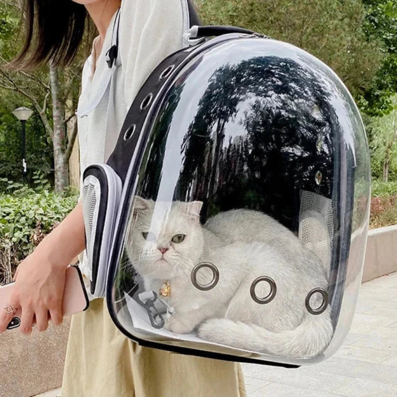 CatPack